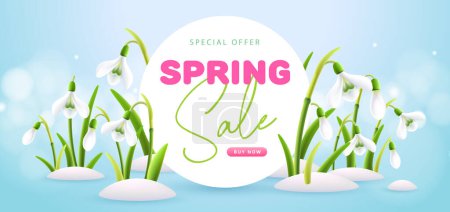 Illustration for International happy women`s day greeting card. Blooming snowdrops background. 8 March. Vector illustration - Royalty Free Image