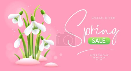 Téléchargez les illustrations : Spring big sale poster with realistic full blossom snowdrops. Vector illustration - en licence libre de droit