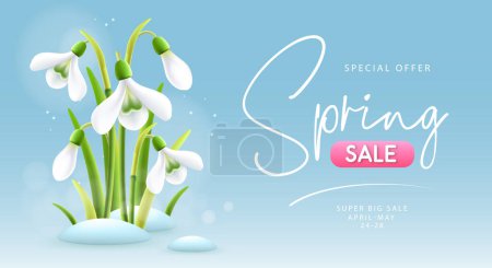 Illustration for Spring big sale poster with realistic full blossom snowdrops. Vector illustration - Royalty Free Image
