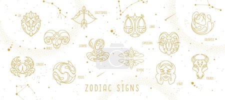 Illustration for Modern magic witchcraft astrology background with zodiac constellations in the sky. Vector illustration - Royalty Free Image