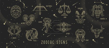 Illustration for Modern magic witchcraft astrology background with zodiac constellations in the night sky. Vector illustration - Royalty Free Image