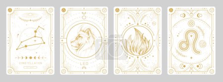 Illustration for Set of Modern magic witchcraft cards with astrology Leo zodiac sign characteristic. Vector illustration - Royalty Free Image