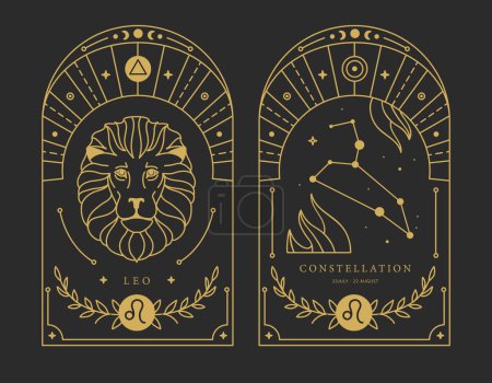 Illustration for Set of Modern magic witchcraft cards with astrology Leo zodiac sign characteristic. Vector illustration - Royalty Free Image