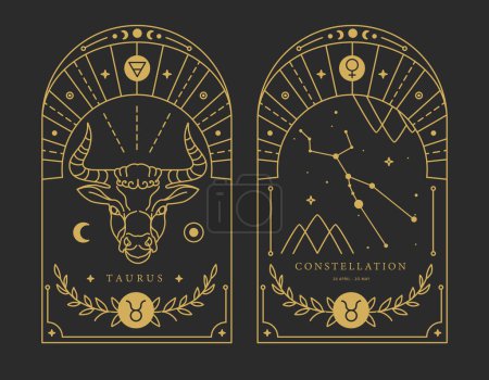 Illustration for Set of Modern magic witchcraft cards with astrology Taurus zodiac sign characteristic. Vector illustration - Royalty Free Image