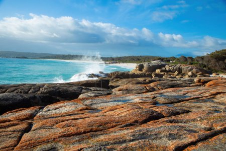 Téléchargez les photos : Beau paysage à Baie de feu en Tasmanie. Les rochers sont orange et l'océan est turquoise. - en image libre de droit