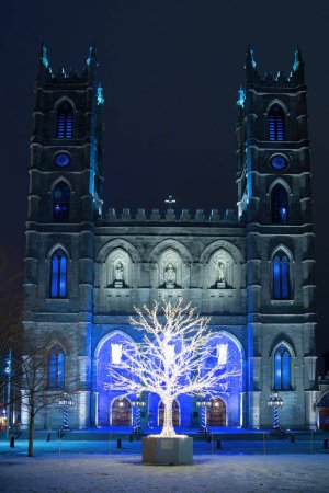 Foto de Árbol iluminado en Place d 'Armes frente a la catedral de Notre Dame durante el invierno en Montreal, Canadá - Imagen libre de derechos