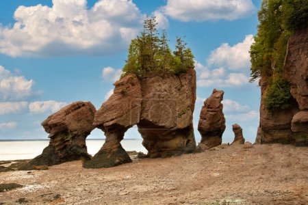 Photo for Flower pots at Hopewell Cape in New Brunswick where the tide is the highest in the world - Royalty Free Image