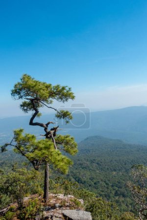 Foto de El mirador más hermoso Parque Nacional Phu Kradueng, Tailandia. - Imagen libre de derechos