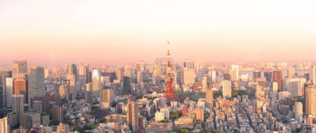 panoramiczny nowoczesny panoramiczny widok z lotu ptaka oko pod słońcem i rano błękitne jasne niebo w Tokio, Japonia