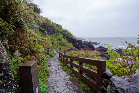 Drachenkopf-Felsen dunkel oder Yongduam der Insel Jeju Südkorea