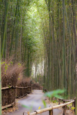 Arashiyama is a district on the western outskirts of Kyoto, Japan. It also refers to the mountain across the oei River, which forms a backdrop to the district. Arashiyama is a nationally designated Historic Site and Place of Scenic Beauty.