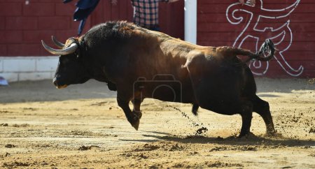 Photo for Big bull with big horns in a traditional spectacle of bullfight in spain - Royalty Free Image