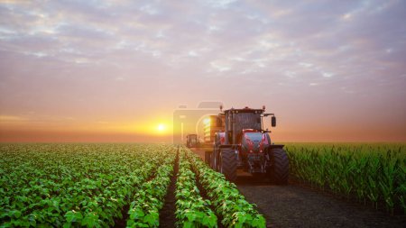 Téléchargez les photos : Tracteur travaillant dans des parcelles agricoles au coucher du soleil. 3d rendu - en image libre de droit