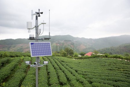 Photo for Weather station in green tea field, 5G technology with smart farming concept - Royalty Free Image