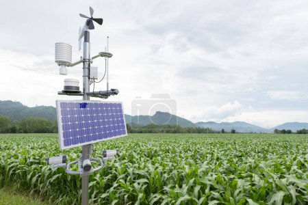 Foto de Estación meteorológica en campo de maíz, tecnología 5G con concepto de agricultura inteligente - Imagen libre de derechos