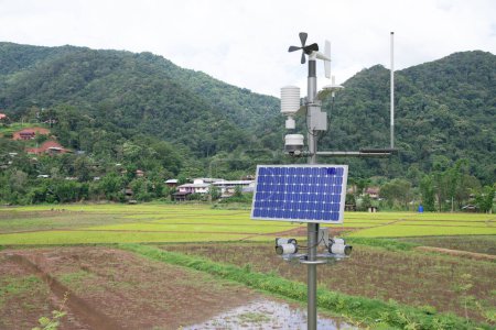 Photo for Weather station in rice field, 5G technology with smart farming concept - Royalty Free Image