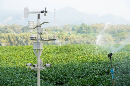 Photo for Weather station in green tea field, 5G technology with smart farming concept - Royalty Free Image