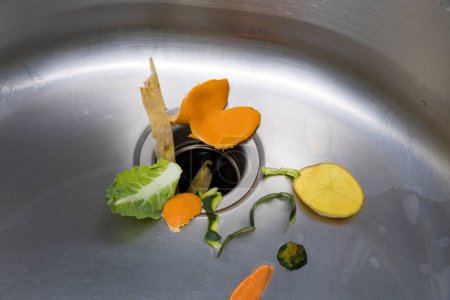 Food scraps in the kitchen sink