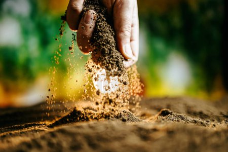 Photo for Black soil in man hands Organic gardening, agriculture. Nature close up. Environmental texture, pattern. Soil, cultivated dirt, earth, ground, Organic gardening, agriculture. Nature Sunlight close up - Royalty Free Image