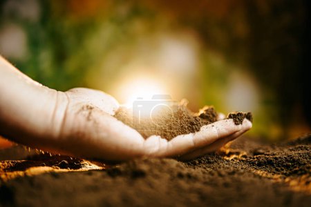 Photo for Hands touching soil on the field. Farmer is checking soil quality before sowing. Close up of male hands touching dry ground in an agricultural field Sunlight, Soil, cultivated dirt, earth, ground, - Royalty Free Image