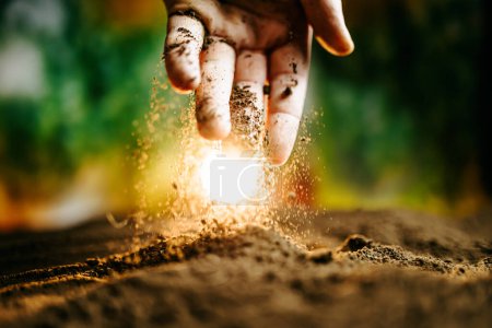 Photo for Man Farmer Hands Touching Ground on Field. Close up Farmer Hands Holding Organic Soil. Macro shooting. Soil Sunlight, Farmer hands holding and pouring back organic soil on sunrise light top view shot - Royalty Free Image