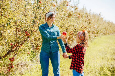 Photo for A close-up of a little girls hands carefully selecting the perfect apple to pick in her familys orchard. - Royalty Free Image