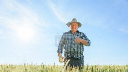 Delighted mature male worker looking at camera with thumb up gesture while standing in agricultural plantation on summer day in rural area. Smiling farmer showing thumb up gesture in field copy space