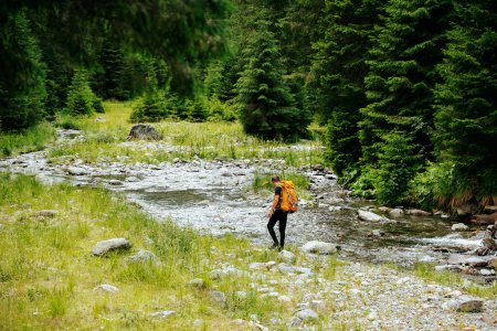 Die Rückansicht eines jungen Wanderers mit Rucksack, der in einen aktiven Lebensstil eintaucht und einen ruhigen Pfad hinaufsteigt, der vom üppigen Grün eines Hochwaldes umgeben ist..