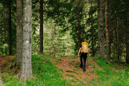 Un joven caminante masculino, adornado con una mochila, asciende por un tranquilo sendero a través de un exuberante bosque verde de gran elevación, encarnando la esencia de un estilo de vida activo.