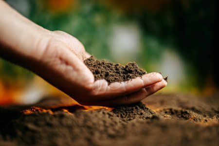 A close-up shot of human hands holding a clump of fertile soil, through the fingers. symbolizes the beauty of nature and the importance of nurturing the earth for future generations.