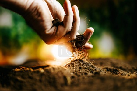A close-up photo of a farmers hands tending to the soil, with the sun shining brightly in the background, creating a warm and inviting atmosphere.