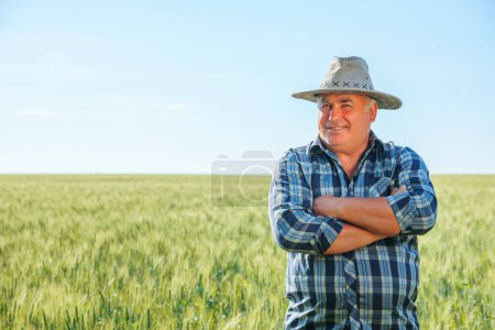 Senior male farmer looking away with thoughtful face while standing in agricultural field with green plants in countryside on summer day