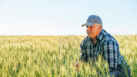 Elderly male farmer in cap looking into distance with pensive face while sitting on haunches in agricultural field on summer day. Mature worker sitting in field