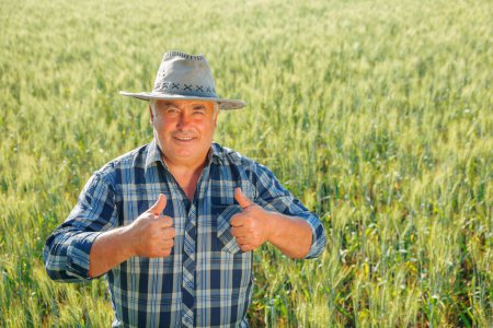 Optimistic mature male farmer looking at camera and making thumbs up gesture in agricultural plantation with green plants on summer day