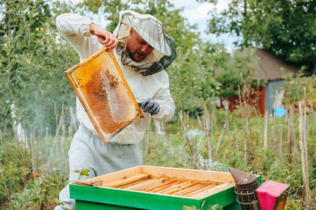 Ein junger Imker führt den Familienbetrieb weiter, hält ein Gestell mit Waben und Bienen in den Händen. Ein umweltfreundliches Produkt wird in einem umweltfreundlichen Gebiet produziert.