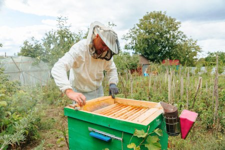 Téléchargez les photos : Un jeune apiculteur mâle travaille dans le rucher près des ruches avec des abeilles. Ramasse du miel. Un apiculteur dans un rucher à la campagne. Concept apicole. - en image libre de droit