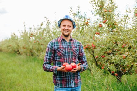 Juicy apples in the hands of a young man gardener stands in a garden where apple trees grow. The guy rejoices at his hand beautiful harvest. The farmer is wearing a plaid shirt. Blurred background.