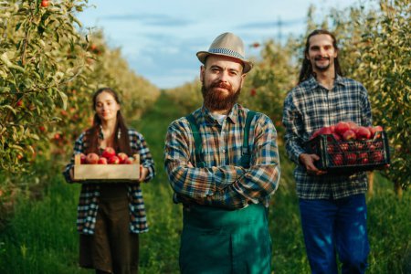 Front view agronomy smile beard mustache hat stand hands on chest behind go girl guy workers apples. Harvest collected in boxes, it is ripe. A rich apple orchard and the best harvest. Family farming.