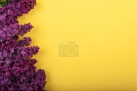Foto de Ramas lila sobre fondo amarillo. Fondo de primavera. Burlarse. Flores de lila. Vista superior, espacio de copia. - Imagen libre de derechos