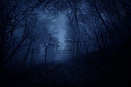 Téléchargez les photos : Effrayant chemin bleu lumineux mystérieux dans la forêt enchantée sombre la nuit. Vue perspective, silhouettes noires d'arbres, thème Halloween - en image libre de droit
