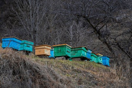 Téléchargez les photos : Abeille ruches en bois colorées dans la forêt d'automne dans les montagnes - en image libre de droit