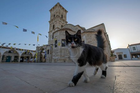 Téléchargez les photos : Noir avec chat blanc sérieux marche en face de la cathédrale Saint Lazare à Larnaca, Chypre. Vue grand angle bas - en image libre de droit
