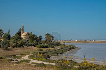 Téléchargez les photos : Hala Sultan Tekke ou Mosquée d'Umm Haram est un sanctuaire musulman situé sur la rive ouest du lac salé Larnaca à Chypre. Palmiers verts, ciel bleu, bâtiments blancs de la ville à l'horizon - en image libre de droit