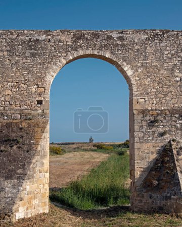 Téléchargez les photos : Ruines médiévales de l'aqueduc Kamares à Larnaca, Chypre. Arbre solitaire à l'horizon est vu à travers l'arche - en image libre de droit