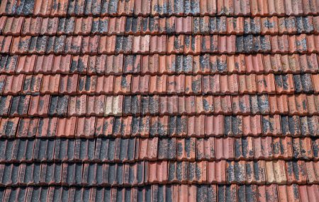 Téléchargez les photos : Arrière-plan d'une vieille tuile de toit avec mousse et lichens. Gros plan sur le vieux toit carrelé de l'ancien bâtiment par une journée ensoleillée - en image libre de droit
