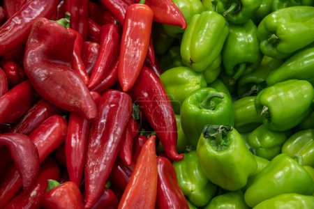 Hintergrund mit frischen roten und grünen Paprika, die darauf warten, eine feine Mahlzeit zuzubereiten. Draufsicht, flache Lage, Nahaufnahme