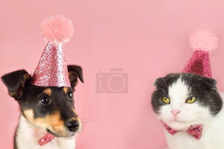 Téléchargez les photos : Mignon chat pliant et petit chiot dans un chapeau d'anniversaire de fête sur un fond rose, espace de copie. - en image libre de droit