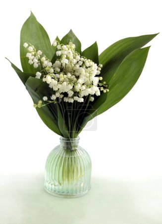 Téléchargez les photos : Posy de fleurs parfumées Convallaria maialis - en image libre de droit