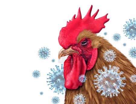 Gripe aviar Crisis de la gripe aviar y virus aviar como virus de aves de corral infectados con ganado de gallina como riesgo para la salud por brote de infección mundial y concepto de control de enfermedades o símbolo de seguridad pública agrícola con elementos ilustrativos en 3D.