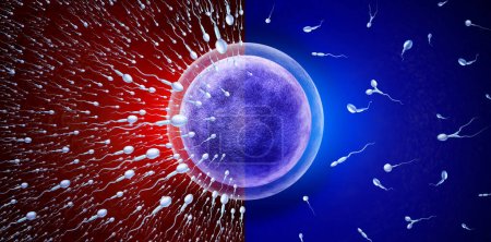 Männliche Unfruchtbarkeit und Fortpflanzungskonzept als gesunde oder abnorme mikroskopische Spermien oder Spermatozoenzellen, die auf eine Eizelle zuschwimmen, um zu befruchten und eine Schwangerschaft als urologisches Symbol als 3D-Darstellung zu erzeugen.